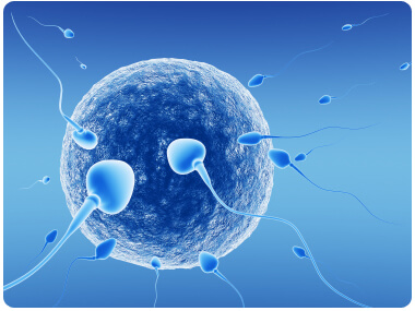 Male Infertility Treatment in Pune